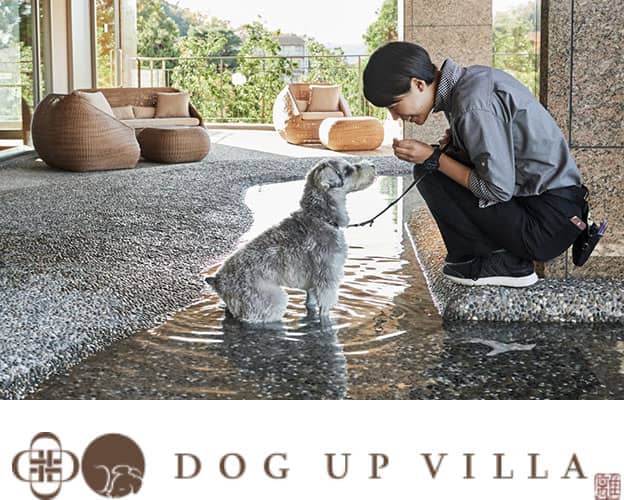 DOG UP VILLA ドッグ・アップ・ヴィラ