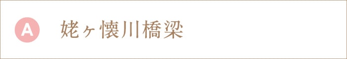 姥ヶ懐川橋梁