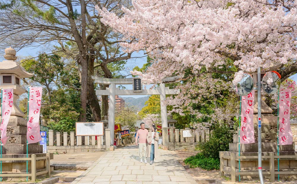 羽生結弦ファンの聖地で桜を愛でる