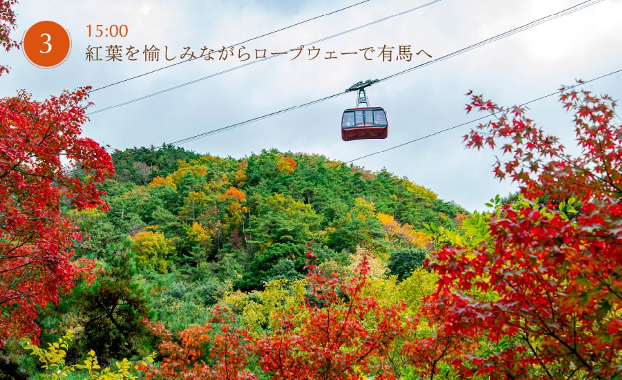 紅葉を愉しみながらロープウェーで有馬へ