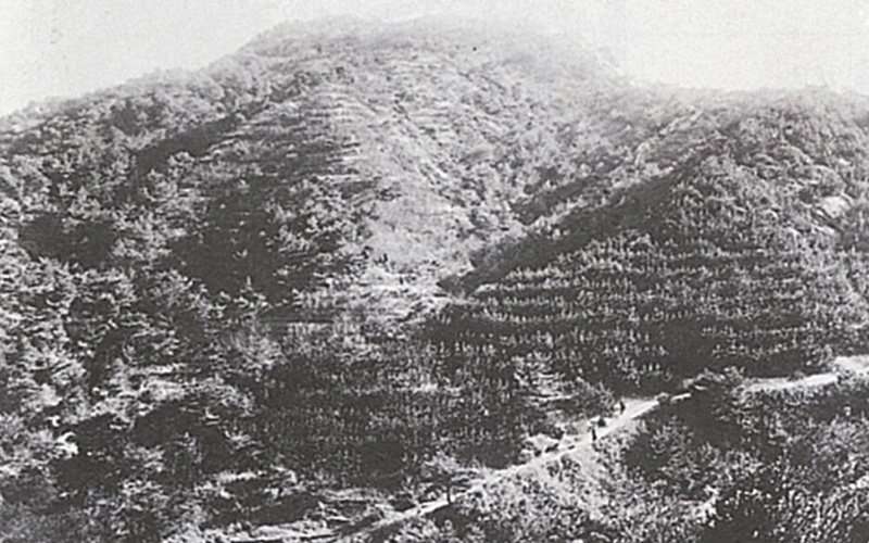 大正～昭和・平成の六甲山