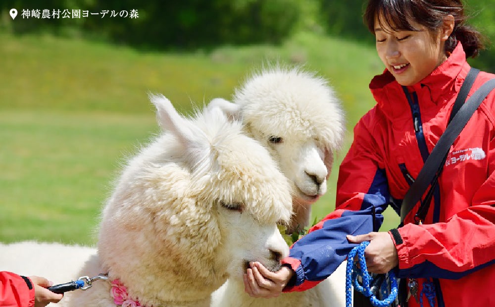 動物たちとふれあう一日