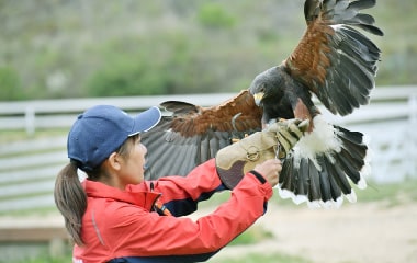 動物たちとふれあう一日