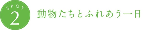 動物たちとふれあう一日