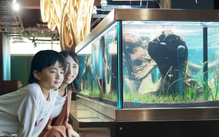 みなとやま水族館