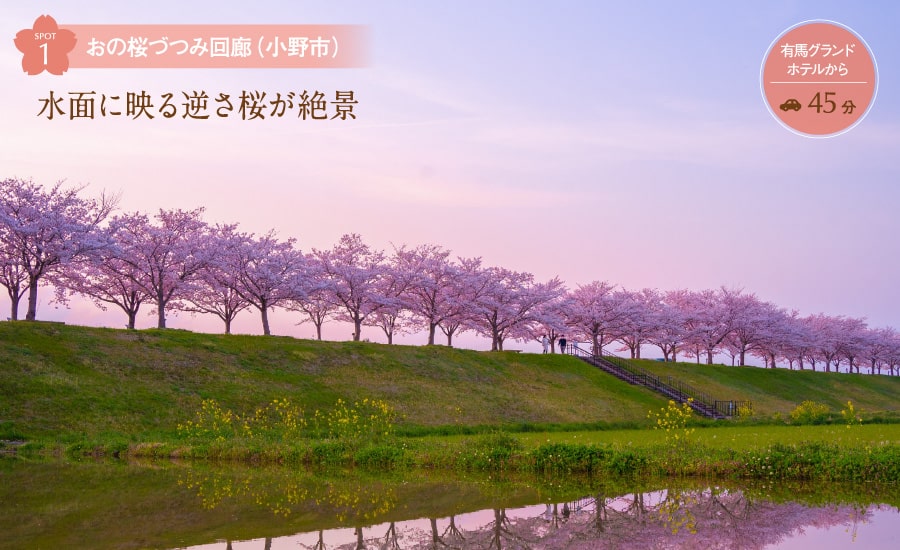 おの桜づつみ回廊(小野市) 水面に映る逆さ桜が絶景