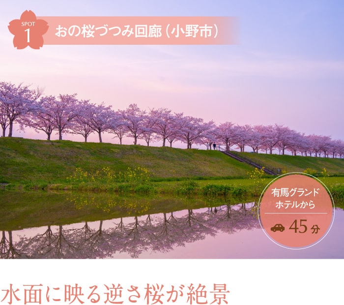 おの桜づつみ回廊(小野市) 水面に映る逆さ桜が絶景
