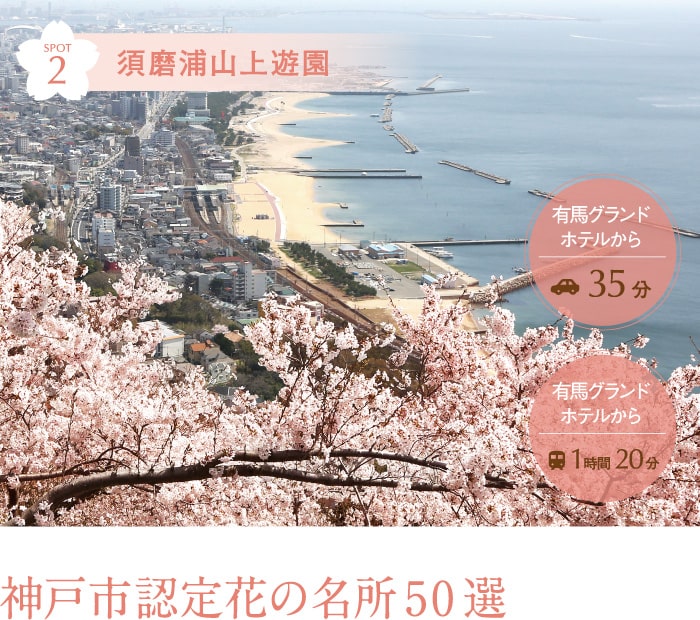 須磨浦山上遊園 神戸市認定花の名所50選