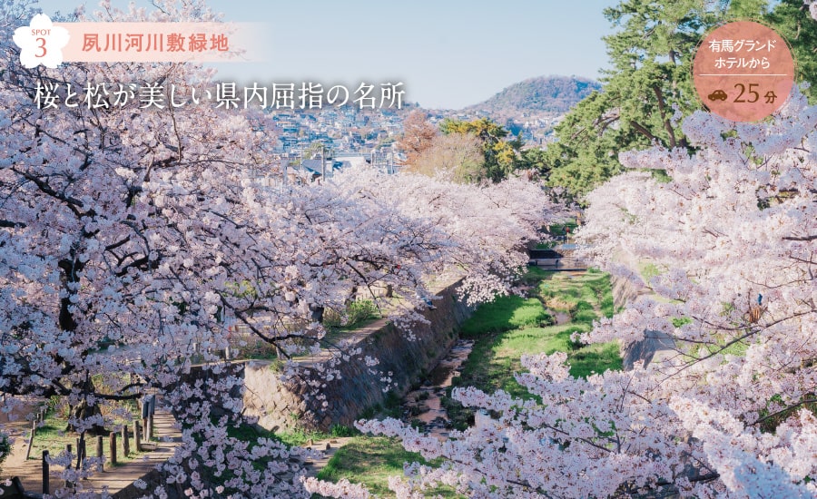 夙川河川敷緑地 桜と松が美しい県内屈指の名所