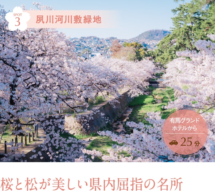 夙川河川敷緑地 桜と松が美しい県内屈指の名所