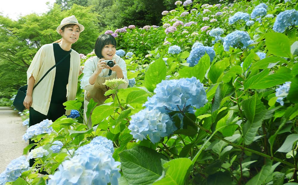 森林浴にお勧め　新緑輝く六甲山の人気スポット