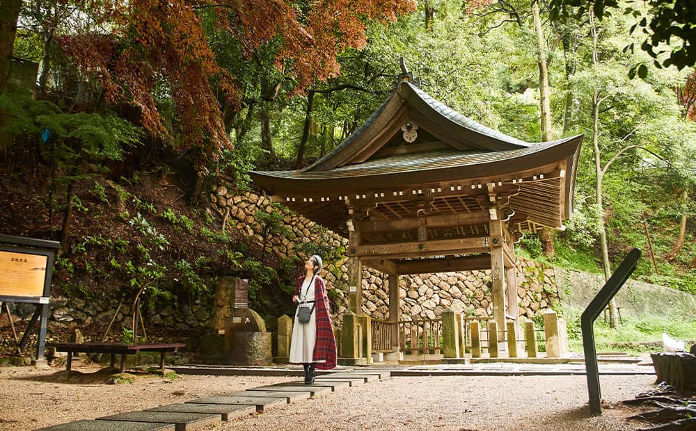 温泉街の奥に佇む公園の紅葉