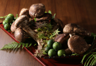 【秋の味覚】すき焼き・土瓶蒸し・焼き松茸で、松茸の香りと味わいに舌鼓