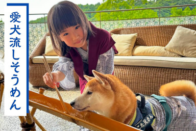 有馬の夏の風物詩『愛犬流しそうめん』